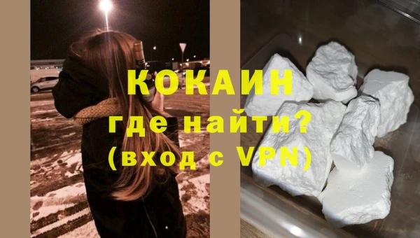 прущие грибы Арсеньев