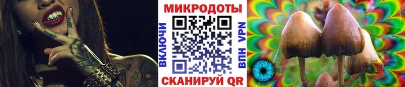 Псилоцибиновые грибы Psilocybe  Сосновоборск 